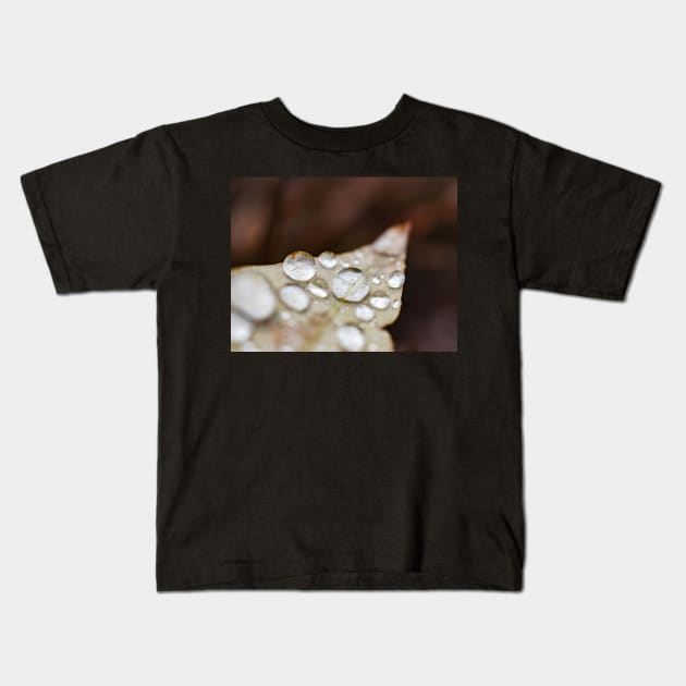 Rain water on leaf Kids T-Shirt by glovegoals